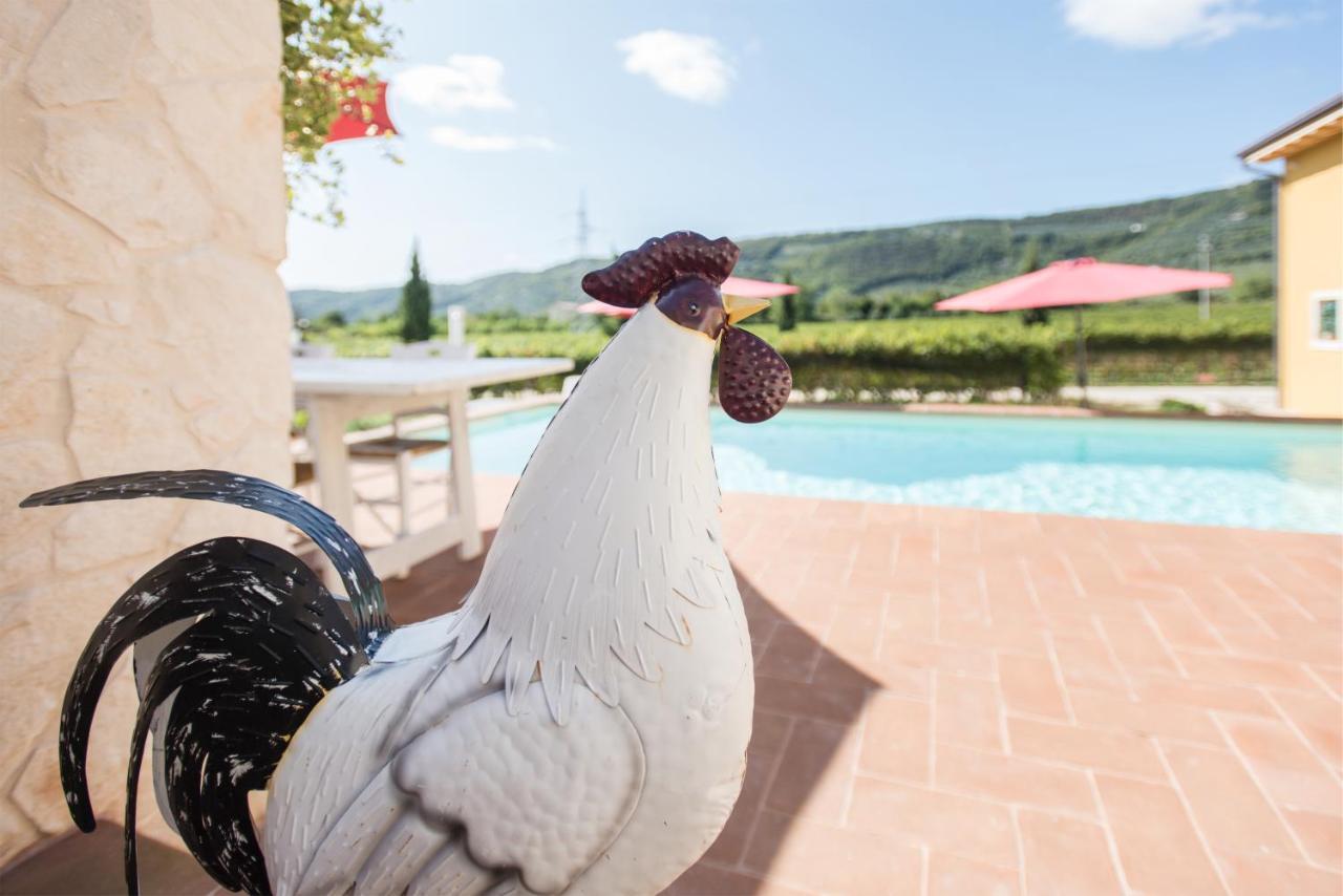 Maso Maroni Agriturismo Quinto di Valpantena ภายนอก รูปภาพ