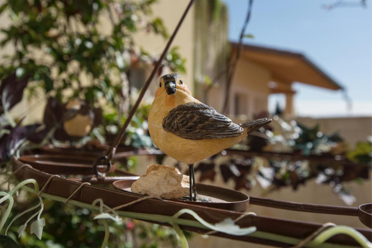 Maso Maroni Agriturismo Quinto di Valpantena ภายนอก รูปภาพ